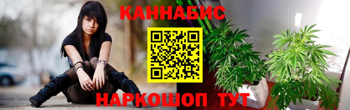 Шишки марихуана тримм  Канабис тримм  Бошки Шишки конопля  Вход с VPN  Новосибирск  Шишки марихуана гибрид 